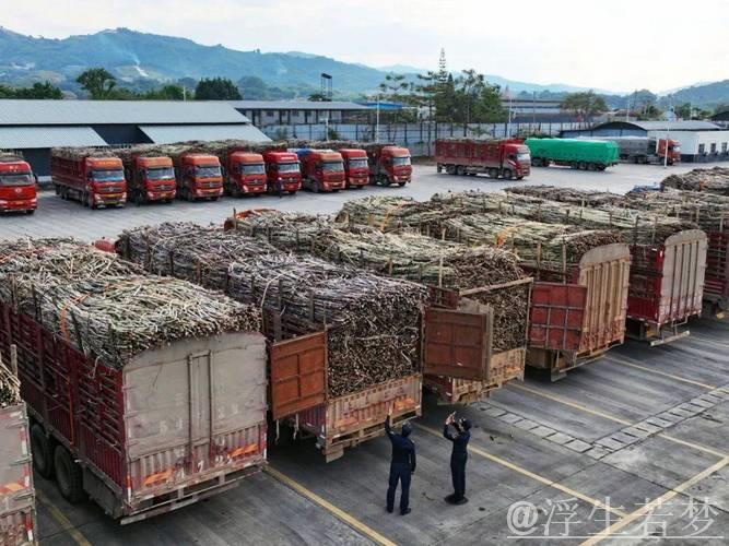 外贸企业假日出口忙 外贸企业假日出口忙